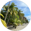 Nick Ttarou profile picture